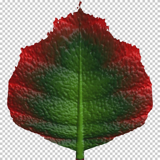 Variation 6