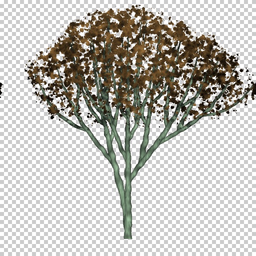 Variation 8
