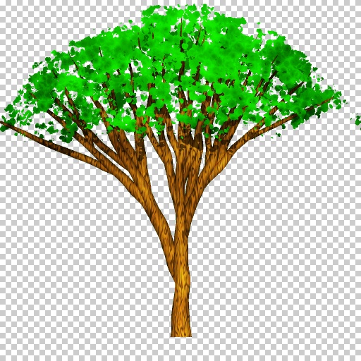 Tree, summer (Texture)