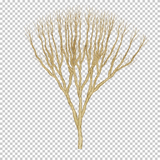 Variation 1