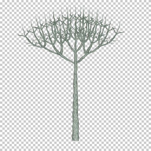 Variation 5