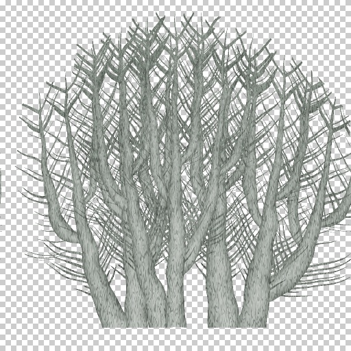 Variation 8