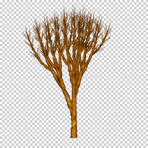 Tree, winter (Texture)