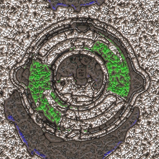 Variation 5