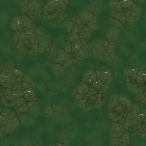 Variation 7