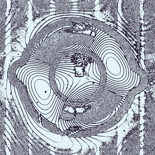 Variation 4