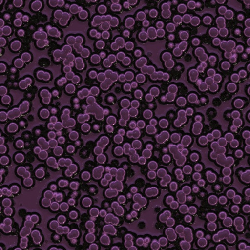 Variation 8