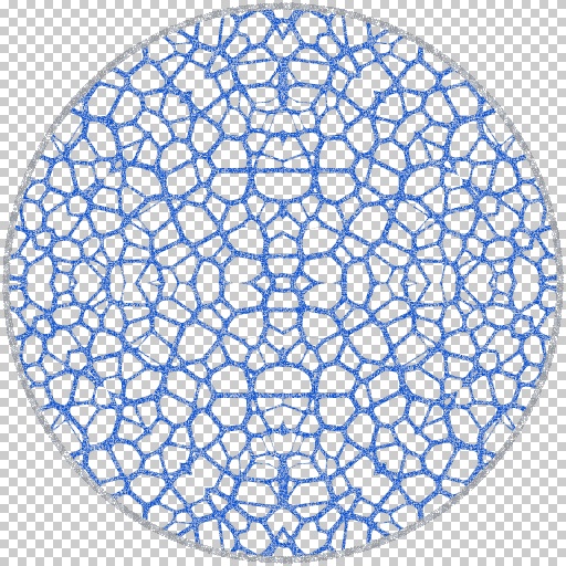 Variation 1