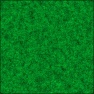 Field