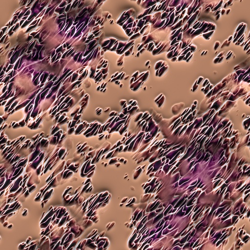 Variation 7