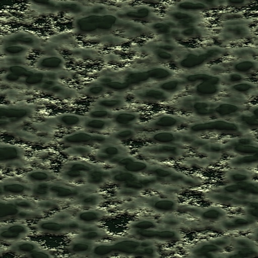 Variation 5
