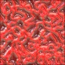 Blood Worms