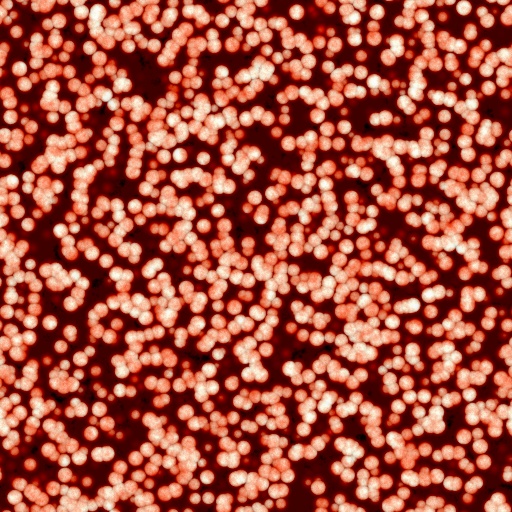 Diffuse Map
