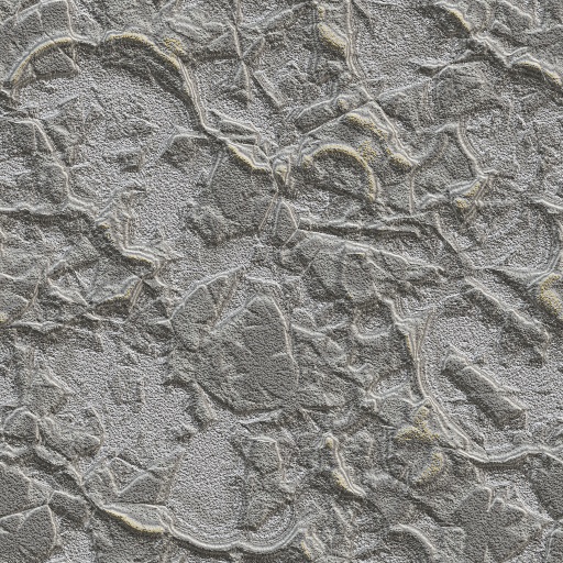 Variation 3