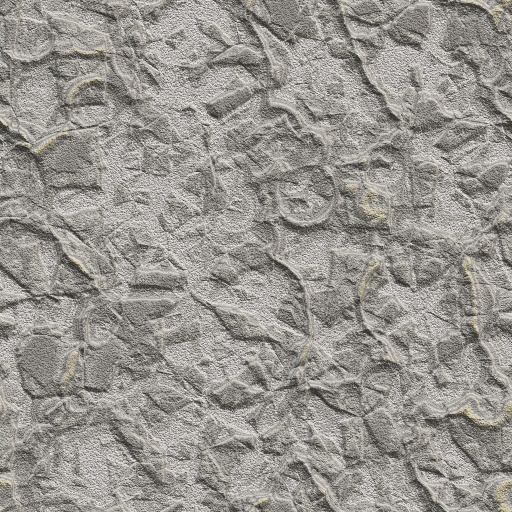 Variation 4