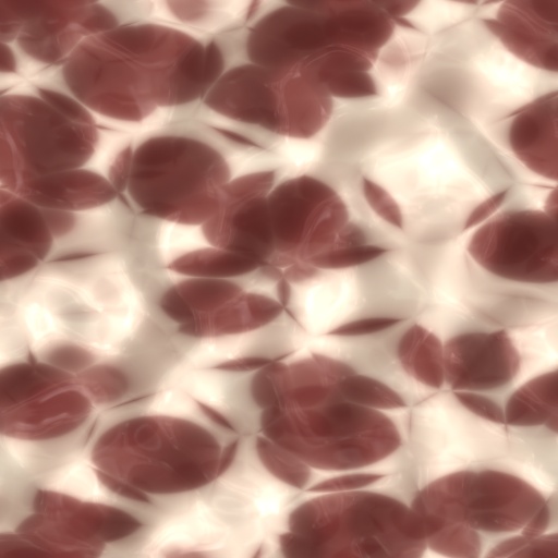 Variation 7