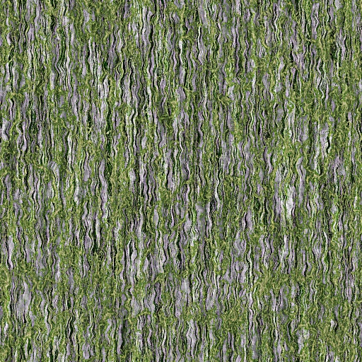 Variation 5