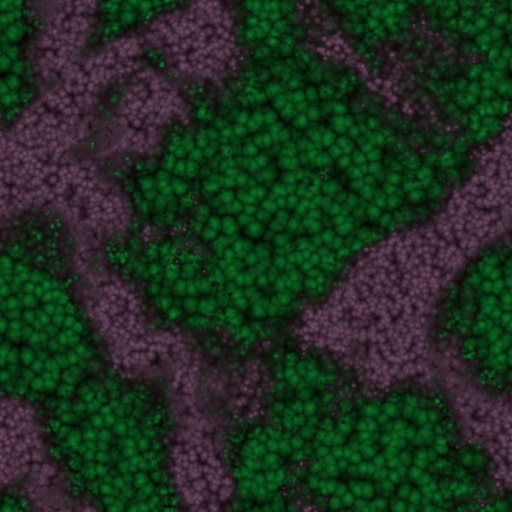 Variation 1