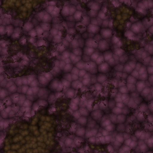 Variation 5
