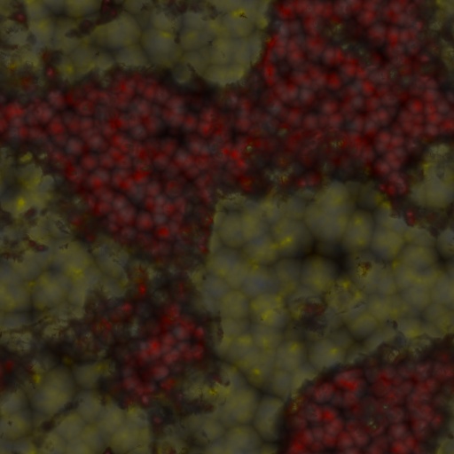 Variation 6