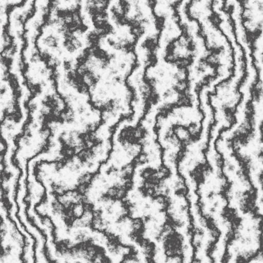 Diffuse Map