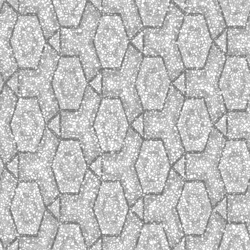 Bump Map