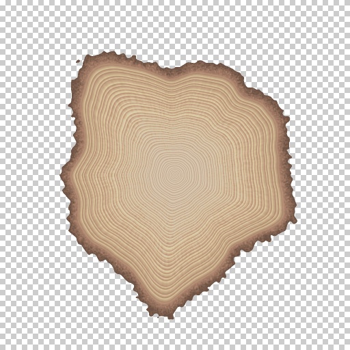 Dendrochronology (Texture)