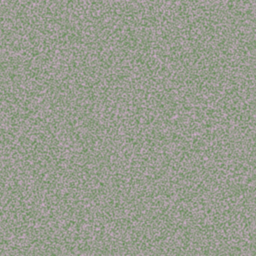 Diffuse Map