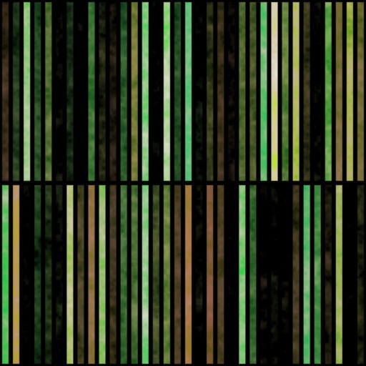 Variation 5