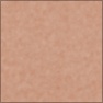 Human Skin