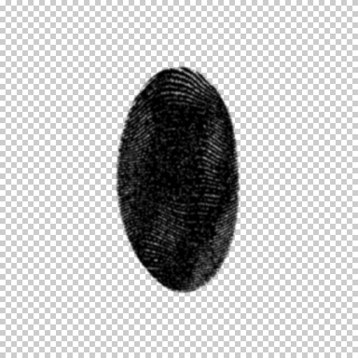 Variation 5