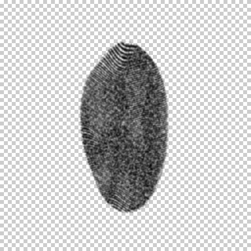 Variation 7