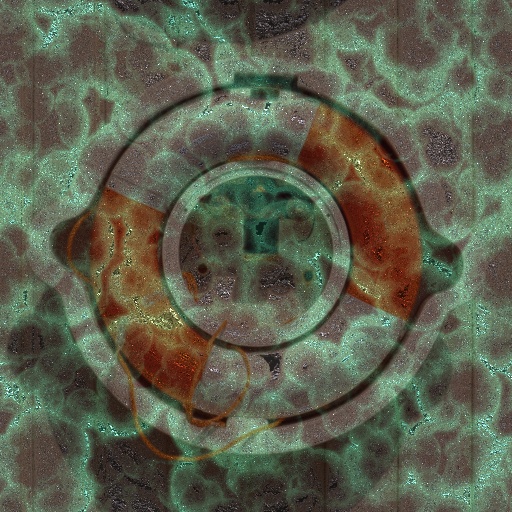 Variation 8