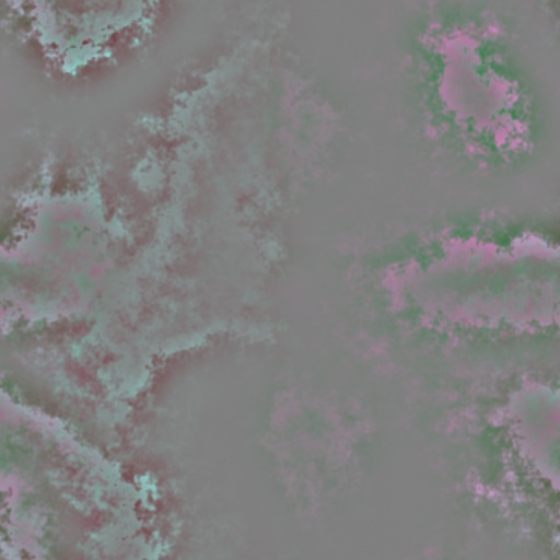Diffuse Map