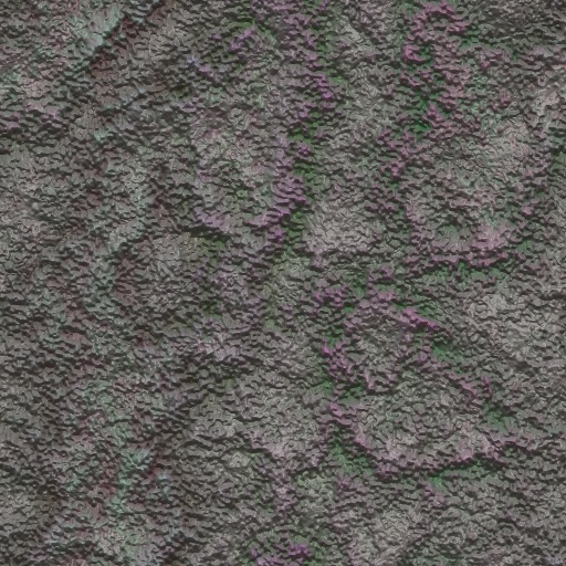 Variation 3