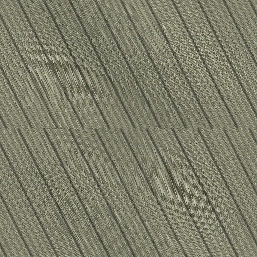 Variation 6