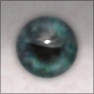 Eye Aye
