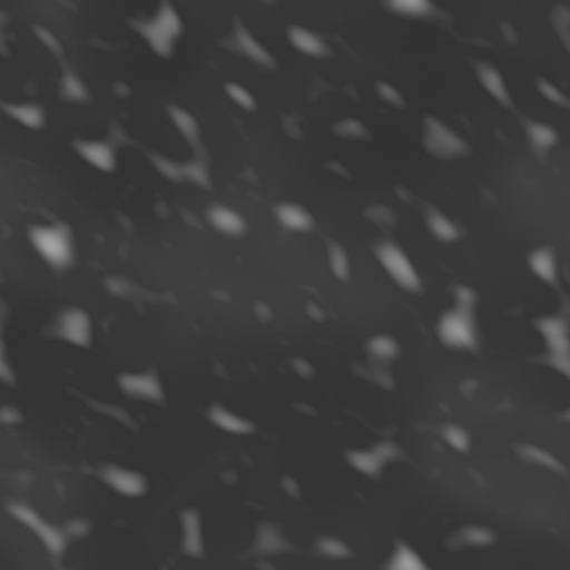 Bump Map