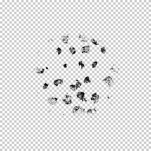 Variation 8