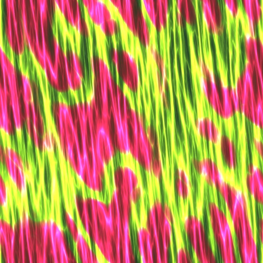 Variation 4