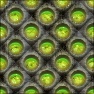 Brain Wall