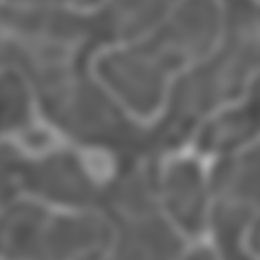 Bump Map