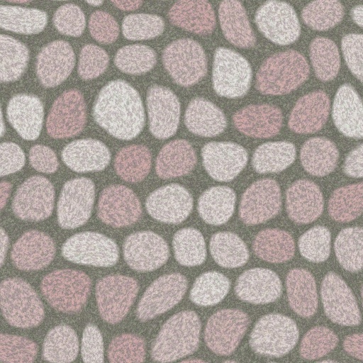 Diffuse Map