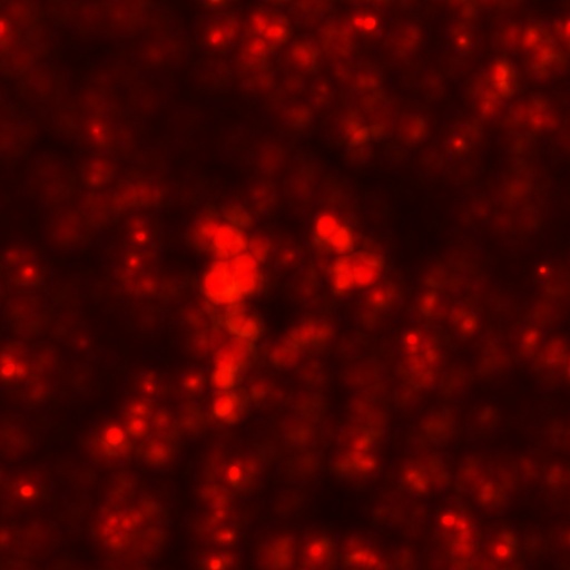 Diffuse Map