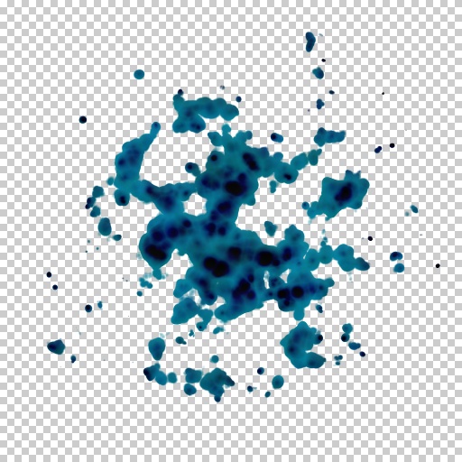 Variation 5