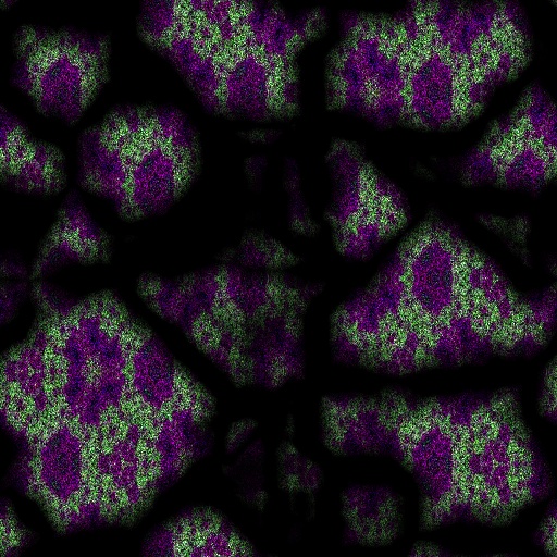 Variation 1