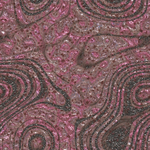 Variation 3