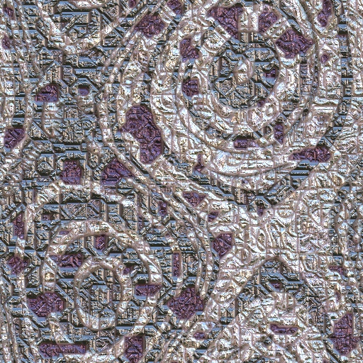Variation 6