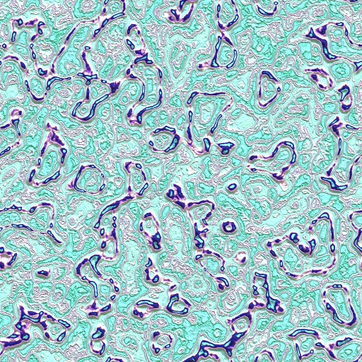 Variation 8