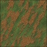 Grassy rock (or rocky grass)